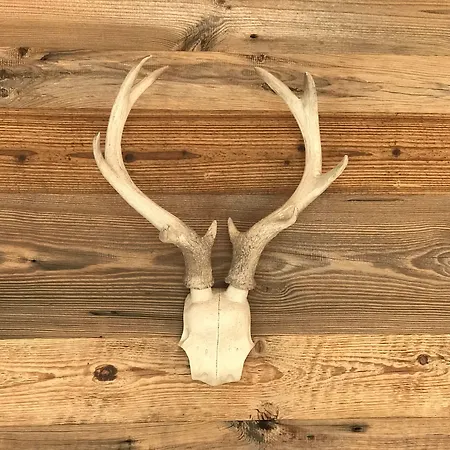 ملاذ عائلي ماريا ألم بيت للعطل